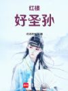 红楼好圣孙