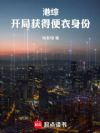 港综:开局获得便衣身份